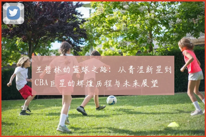 王哲林的篮球之路：从青涩新星到CBA巨星的辉煌历程与未来展望