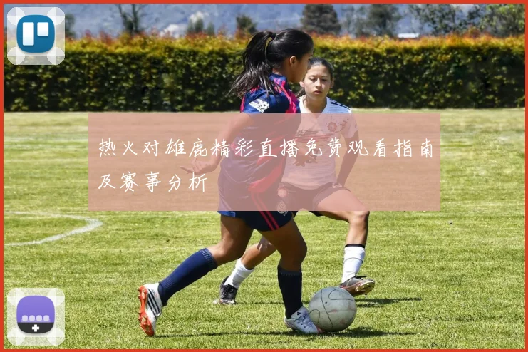 热火对雄鹿精彩直播免费观看指南及赛事分析