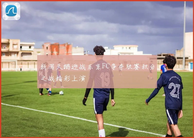 新泻天鹅迎战东京FC争夺联赛积分之战精彩上演