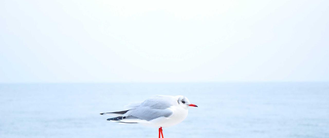 欧冠决赛 巅峰对决